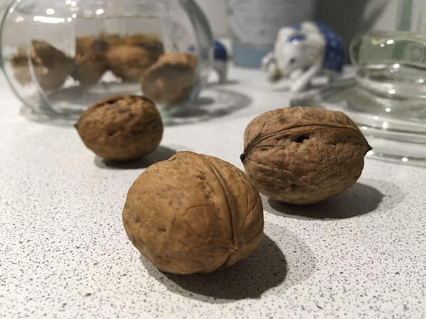 Как колоть грецкие орехи дома, лайфхак